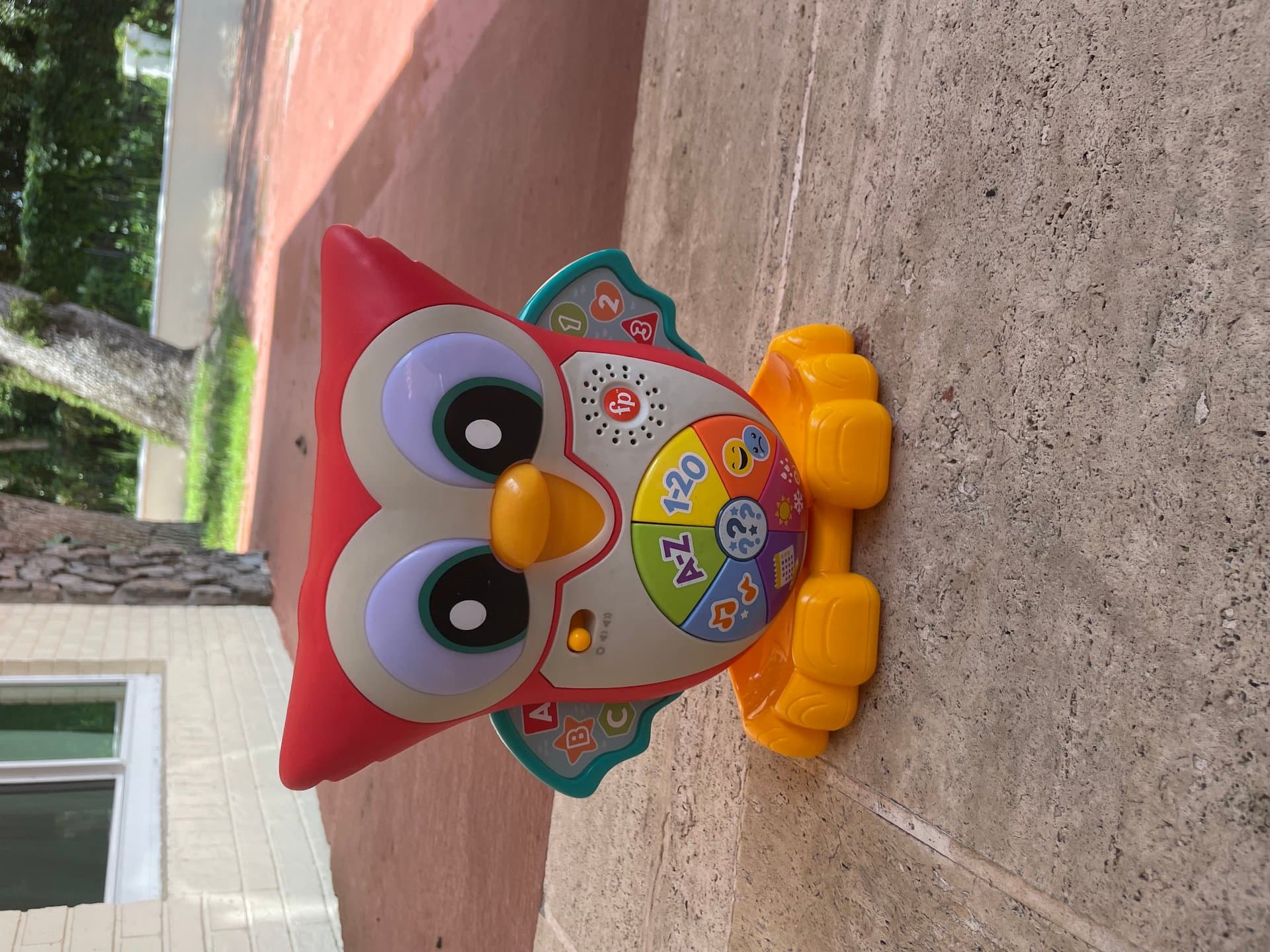 Teaching owl — image 1 of 1