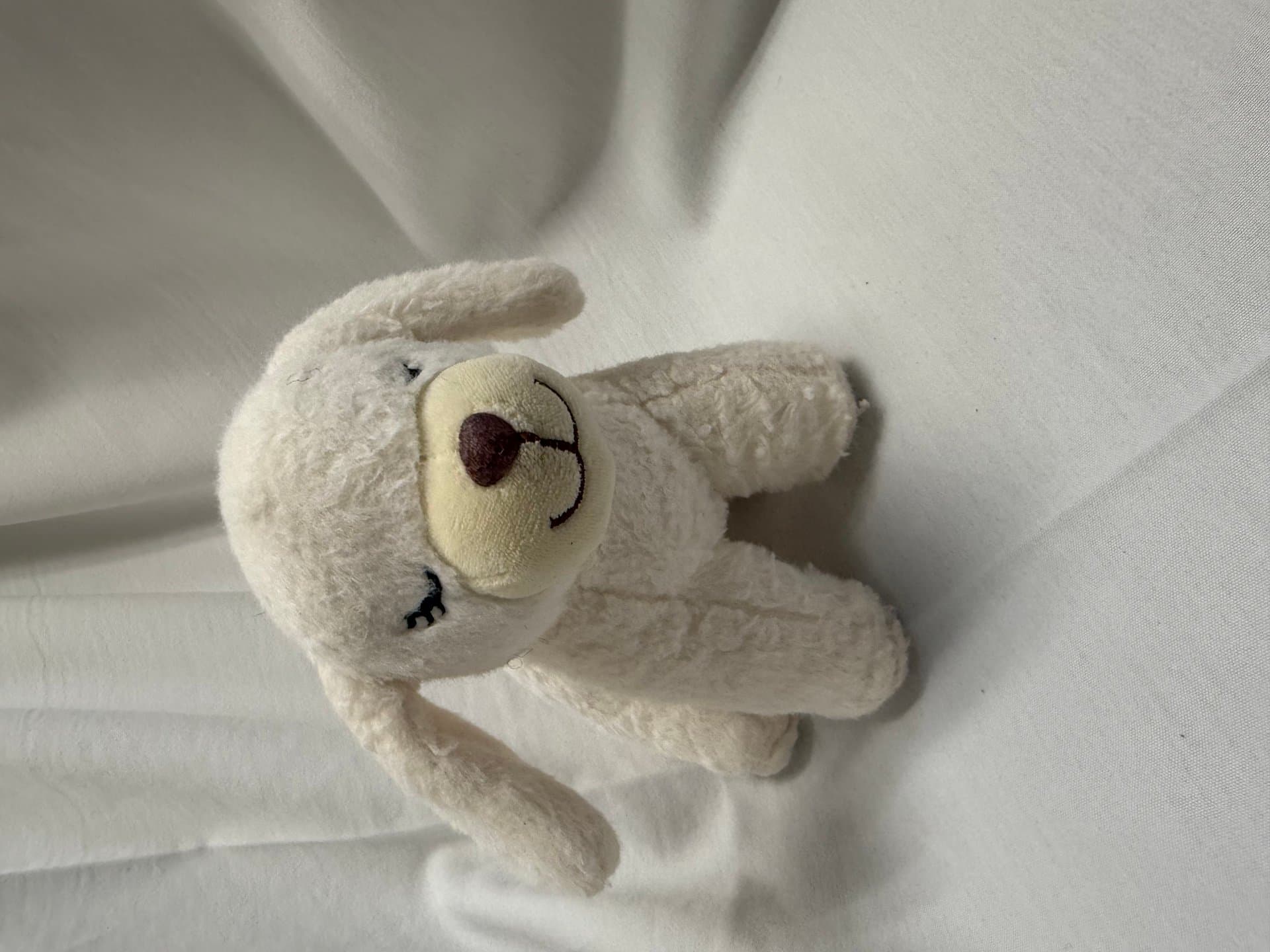 Little Dog — image 1 of 1