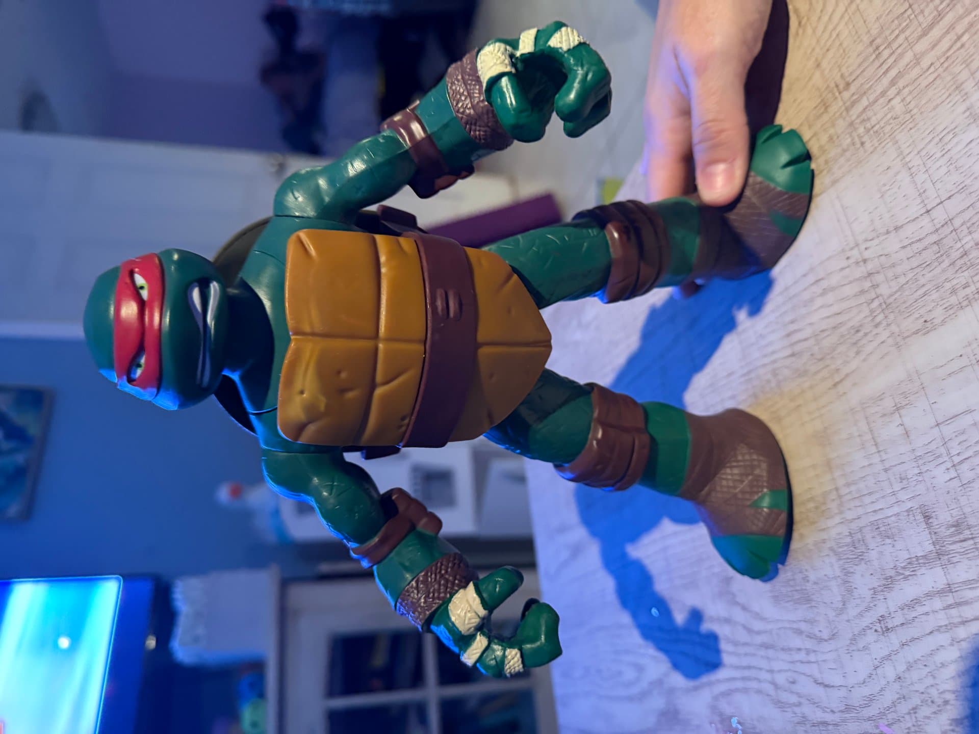 Ninja Turtle — image 1 of 1